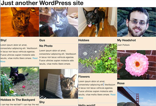 How to Use Masonry to Add Pinterest Style Post Grid in WordPress