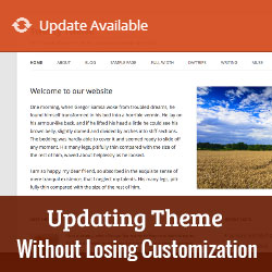 How to Update a WordPress Theme without Losing Customization