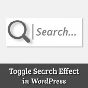 How to Add a Search Toggle Effect in WordPress