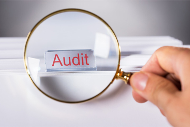 RADV Audit Services for Compliance with CMS Contract Requirements