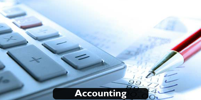 Virtual Accounting Services